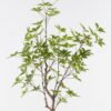 Artificial Tree 50*50*165cm Evergreen Tree in PP pot/500 lvs GS-70224004 2025Mar YeahFlower is one of Chinese leading OEM manufacturers and exporters , supplying the silk flowers, wholesale artificial trees
