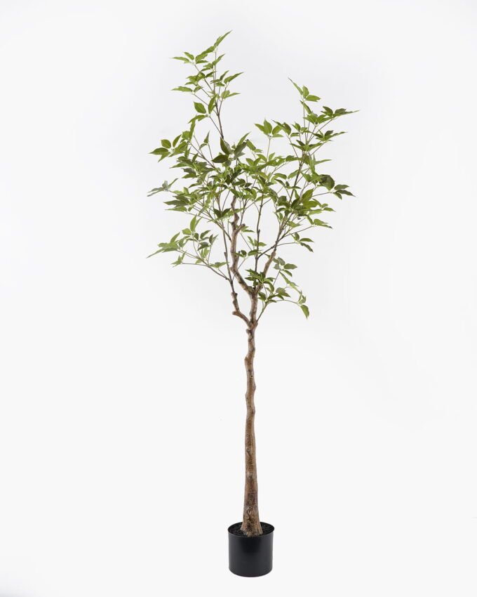 Artificial Tree 50*50*165cm Evergreen Tree in PP pot/500 lvs GS-70224004 2025Mar YeahFlower is one of Chinese leading OEM manufacturers and exporters , supplying the silk flowers, wholesale artificial trees