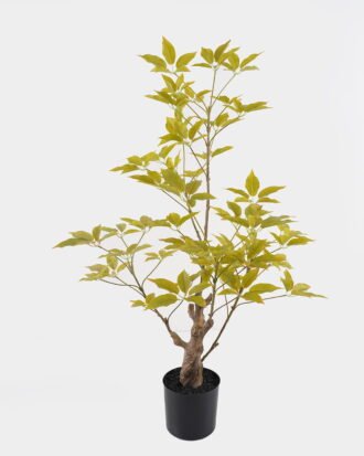 Artificial Tree 48*48*80cm Evergreen Tree in PP pot GS-70224009-G3 2025Mar YeahFlower is one of Chinese leading OEM manufacturers and exporters , supplying the silk flowers, wholesale artificial trees Artificial Tree 48*48*80cm Evergreen Tree in PP pot GS-70224009-G3 2025Mar YeahFlower is one of Chinese leading OEM manufacturers and exporters , supplying the silk flowers, wholesale artificial trees