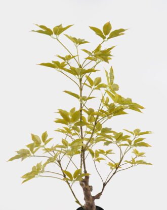 Artificial Tree 48*48*80cm Evergreen Tree in PP pot GS-70224009-G3 2025Mar YeahFlower is one of Chinese leading OEM manufacturers and exporters , supplying the silk flowers, wholesale artificial trees Artificial Tree 48*48*80cm Evergreen Tree in PP pot GS-70224009-G3 2025Mar YeahFlower is one of Chinese leading OEM manufacturers and exporters , supplying the silk flowers, wholesale artificial trees