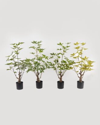 Artificial Tree 48*48*80cm Evergreen Tree in PP pot GS-70224009 2025Mar YeahFlower is one of Chinese leading OEM manufacturers and exporters , supplying the silk flowers, wholesale artificial trees Artificial Tree 48*48*80cm Evergreen Tree in PP pot GS-70224009 2025Mar YeahFlower is one of Chinese leading OEM manufacturers and exporters , supplying the silk flowers, wholesale artificial trees