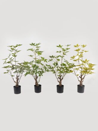 Artificial Tree 35*35*72cm Banyan Tree/174 lvs GS-70224008 2025Mar 3,000+ sqm showroom with thousands of artificial flowers, plants & trees ready for global sourcing.
