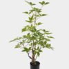 Artificial Tree 48*48*80cm Evergreen Tree in PP pot GS-70224009 2025Mar YeahFlower is one of Chinese leading OEM manufacturers and exporters , supplying the silk flowers, wholesale artificial trees