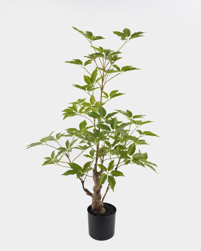 Artificial Tree 48*48*80cm Evergreen Tree in PP pot GS-70224009 2025Mar YeahFlower is one of Chinese leading OEM manufacturers and exporters , supplying the silk flowers, wholesale artificial trees