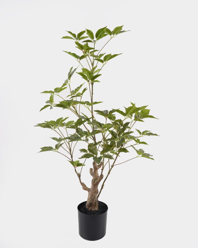 Artificial Tree 48*48*80cm Evergreen Tree in PP pot GS-70224009 2025Mar YeahFlower is one of Chinese leading OEM manufacturers and exporters , supplying the silk flowers, wholesale artificial trees