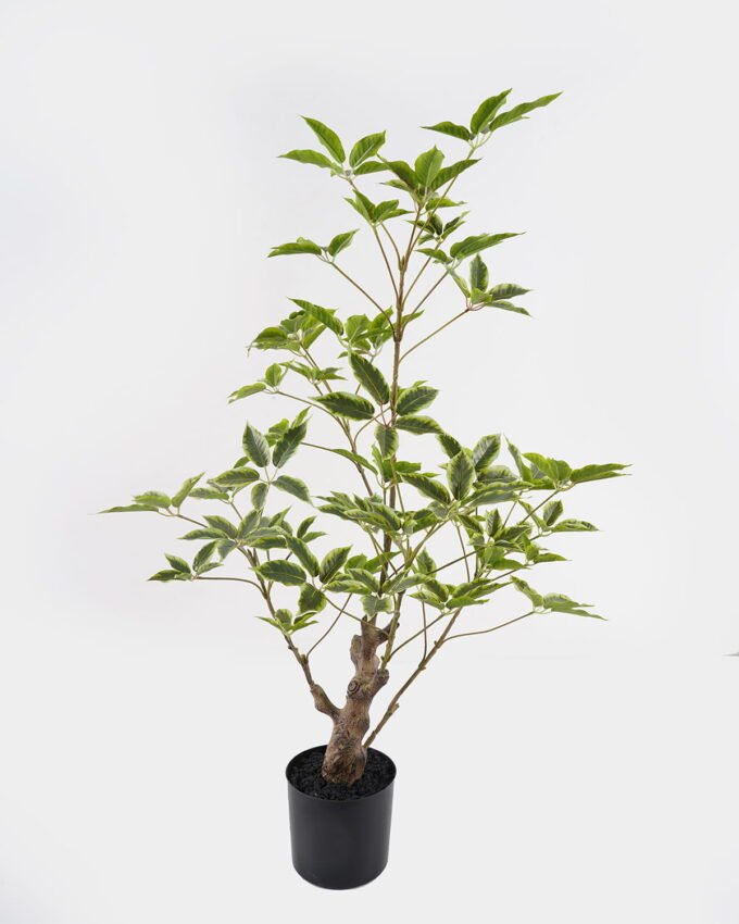 Artificial Tree 48*48*80cm Evergreen Tree in PP pot GS-70224009 2025Mar YeahFlower is one of Chinese leading OEM manufacturers and exporters , supplying the silk flowers, wholesale artificial trees