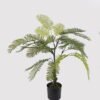 Artificial Tree Jacaranda in PP pot 24 lves GS-39024004_5 Artificial Tree 55*55*80cm Jacaranda in PP pot/24 lves GS-39024004 2025Mar YeahFlower is one of Chinese leading OEM manufacturers and exporters , supplying the silk flowers, wholesale artificial trees