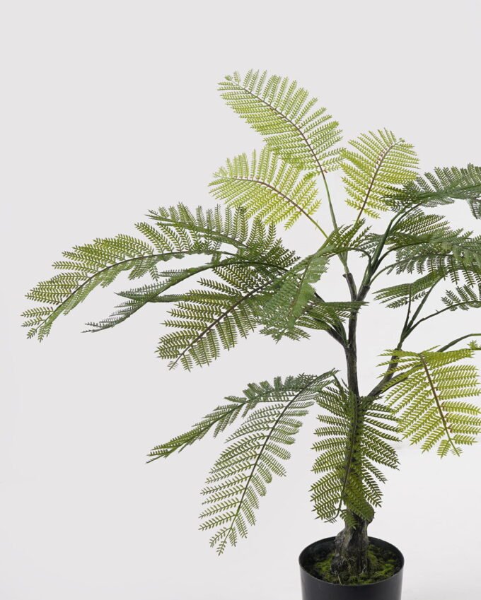 Artificial Tree Jacaranda in PP pot 24 lves GS-39024004_6 Artificial Tree 55*55*80cm Jacaranda in PP pot/24 lves GS-39024004 2025Mar YeahFlower is one of Chinese leading OEM manufacturers and exporters , supplying the silk flowers, wholesale artificial trees