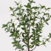 Artificial Tree 40*40*72cm Pieris japonica/360 lvs GS-70224006 2025Mar YeahFlower is one of Chinese leading OEM manufacturers and exporters , supplying the silk flowers, wholesale artificial trees