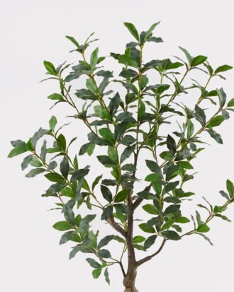 Artificial Tree 40*40*72cm Pieris japonica/360 lvs GS-70224006 2025Mar YeahFlower is one of Chinese leading OEM manufacturers and exporters , supplying the silk flowers, wholesale artificial trees Artificial Tree 40*40*72cm Pieris japonica/360 lvs GS-70224006 2025Mar YeahFlower is one of Chinese leading OEM manufacturers and exporters , supplying the silk flowers, wholesale artificial trees