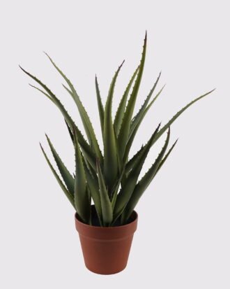 Artificial succulent 52*52*55cm Aloe*5 in pp pot/35lvs GS-59522003R 2025Mar YeahFlower is one of Chinese leading OEM manufacturers and exporters , supplying the silk flowers, wholesale artificial trees