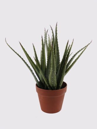 Artificial succulent 42*40cm Aloe in pp pot/10lvs GS-59522005R 2025Mar 3,000+ sqm showroom with thousands of artificial flowers, plants & trees ready for global sourcing.