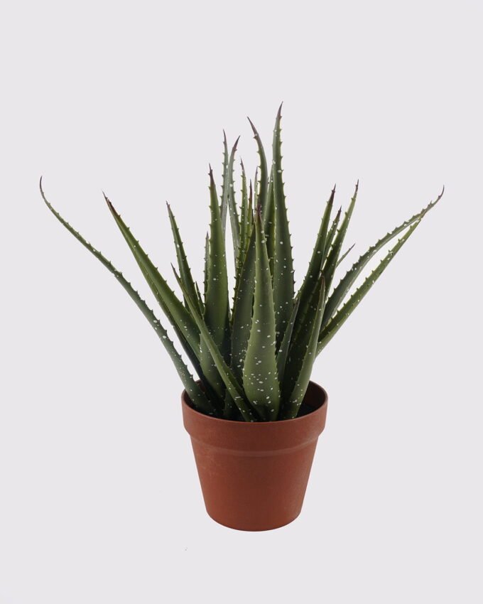 Artificial succulent 35*35*43cm Aloe in PP pot/29 lvs GS-59523160R 2025Mar YeahFlower is one of Chinese leading OEM manufacturers and exporters , supplying the silk flowers, wholesale artificial trees