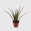 Artificial succulent 42*40cm Aloe in pp pot/10lvs GS-59522005R 2025Mar YeahFlower is one of Chinese leading OEM manufacturers and exporters , supplying the silk flowers, wholesale artificial trees