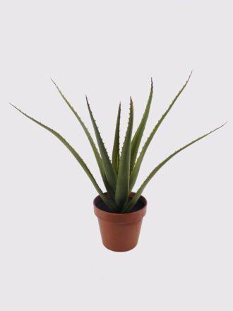 Artificial succulent 52*52*55cm Aloe*5 in pp pot/35lvs GS-59522003R 2025Mar 3,000+ sqm showroom with thousands of artificial flowers, plants & trees ready for global sourcing.