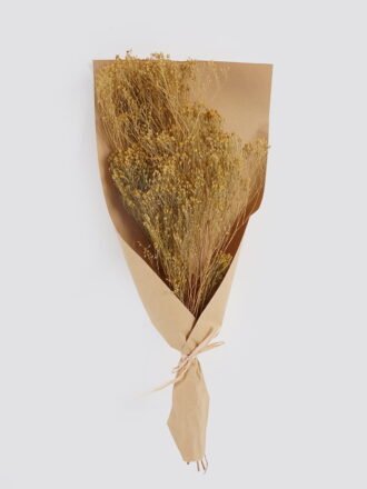 Dried Flowers 8*75cm Dried natura plant GS-56624145-W1 2025Mar 3,000+ sqm showroom with thousands of artificial flowers, plants & trees ready for global sourcing.