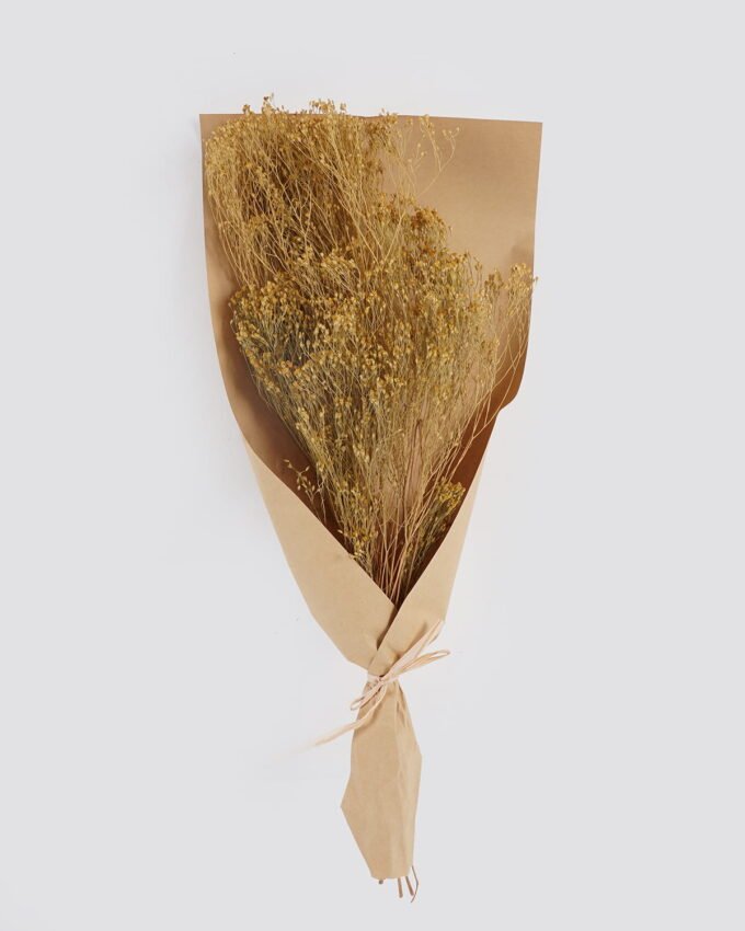 Dried Flowers 24*60cm Babysbreath single stem(Net weight: 50G) GS-56624114P4P24 2025Mar 3,000+ sqm showroom with thousands of artificial flowers, plants & trees ready for global sourcing.
