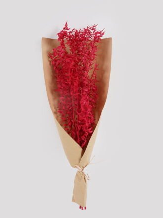 Dried Flowers 22*70CM elumbo mucifera bouquet,5pc/bag(REMARK:standard:pcs not weight) GS-56619014P4P24 2025Mar 3,000+ sqm showroom with thousands of artificial flowers, plants & trees ready for global sourcing.