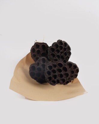 Dried Flowers 22*70CM elumbo mucifera bouquet,5pc/bag(REMARK:standard:pcs not weight) GS-56619014P4P24 2025Mar YeahFlower is one of Chinese leading OEM manufacturers and exporters , supplying the silk flowers, wholesale artificial trees Dried Flowers 22*70CM elumbo mucifera bouquet,5pc/bag(REMARK:standard:pcs not weight) GS-56619014P4P24 2025Mar YeahFlower is one of Chinese leading OEM manufacturers and exporters , supplying the silk flowers, wholesale artificial trees