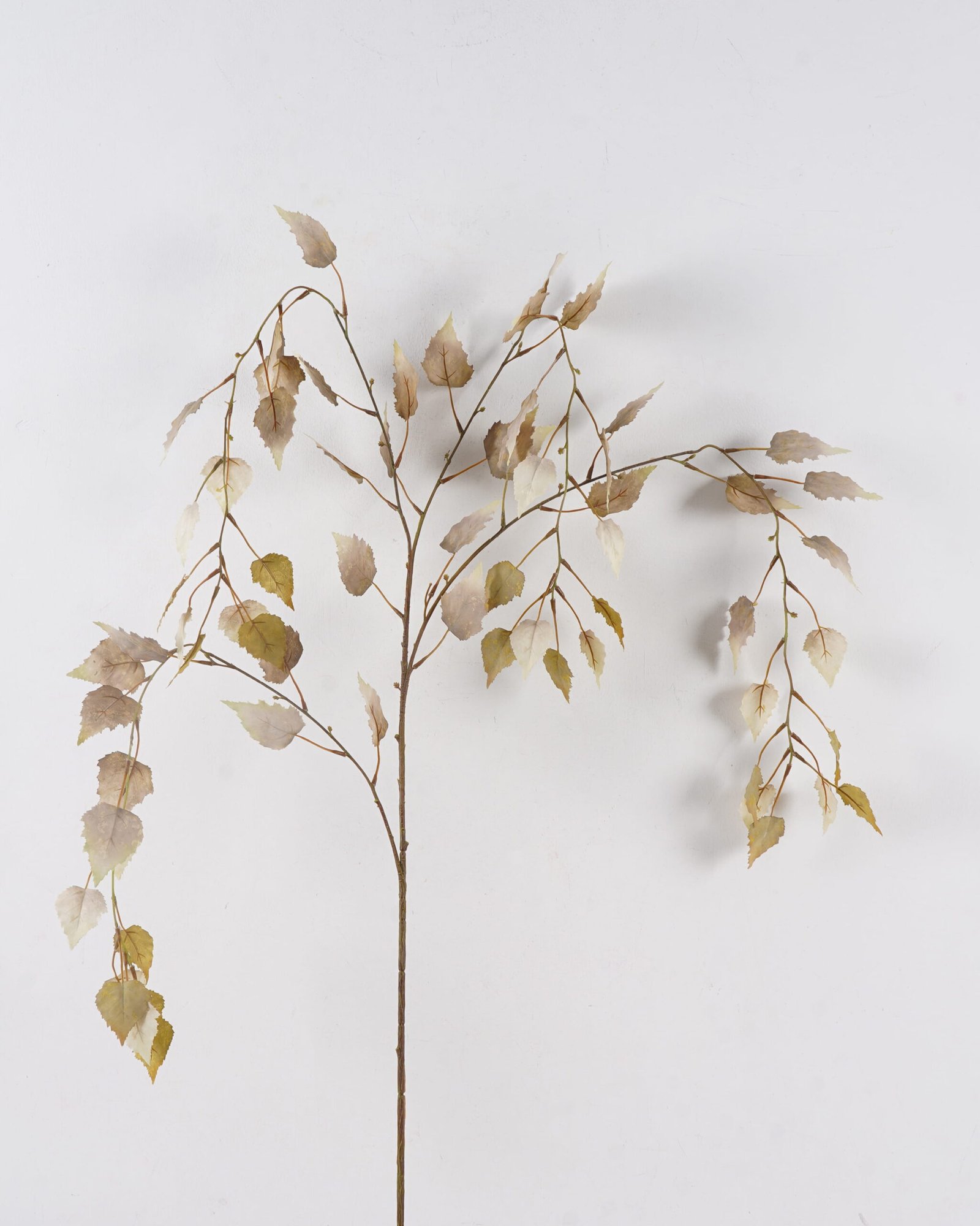 Artificial Plant 26*26*142cm Birch Leaf *4  single stem GS-77324002 2025Apr YeahFlower is one of Chinese leading OEM manufacturers and exporters , supplying the silk flowers, wholesale artificial trees