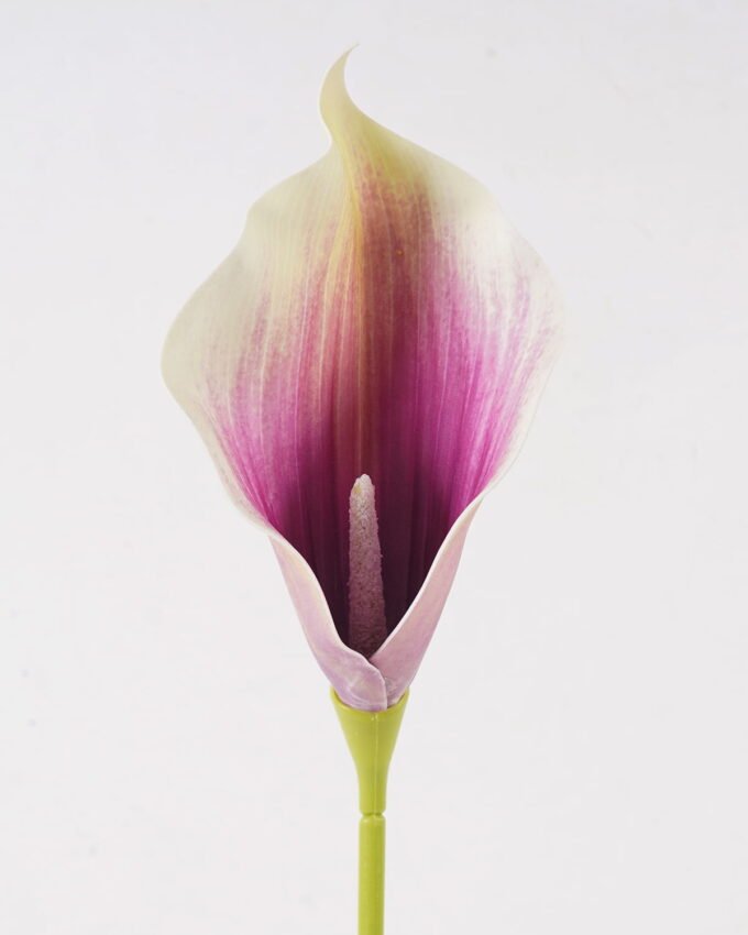Artificial Flower 11*11*78cm Calla Lily single stem GS-64925003-Z2 2025May YeahFlower is one of Chinese leading OEM manufacturers and exporters , supplying the silk flowers, wholesale artificial trees