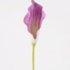 Artificial Flower Calla Lily single stem GS-64925003_4 Artificial Flower 11*11*78cm Calla Lily single stem GS-64925003 2025May YeahFlower is one of Chinese leading OEM manufacturers and exporters , supplying the silk flowers, wholesale artificial trees