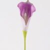 Artificial Flower Calla Lily single stem GS-64925004-Z1_2 Artificial Flower 8*8*62cm Calla Lily single stem GS-64925004-Z1 2025May YeahFlower is one of Chinese leading OEM manufacturers and exporters , supplying the silk flowers, wholesale artificial trees