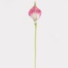 Artificial Flower Calla Lily single stem GS-64925006-P1_2 Artificial Flower 6*6*35cm Calla Lily single stem GS-64925006-P1 2025May YeahFlower is one of Chinese leading OEM manufacturers and exporters , supplying the silk flowers, wholesale artificial trees
