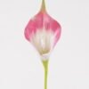 Artificial Flower Calla Lily single stem GS-64925006-P1_3 Artificial Flower 6*6*35cm Calla Lily single stem GS-64925006-P1 2025May YeahFlower is one of Chinese leading OEM manufacturers and exporters , supplying the silk flowers, wholesale artificial trees