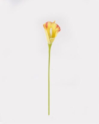 Artificial Flower 6*6*35cm Calla Lily single stem GS-64925006-Y1 2025May YeahFlower is one of Chinese leading OEM manufacturers and exporters , supplying the silk flowers, wholesale artificial trees Artificial Flower 6*6*35cm Calla Lily single stem GS-64925006-Y1 2025May YeahFlower is one of Chinese leading OEM manufacturers and exporters , supplying the silk flowers, wholesale artificial trees
