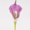 Artificial Flower 6*6*35cm Calla Lily single stem GS-64925006-Z1 2025May YeahFlower is one of Chinese leading OEM manufacturers and exporters , supplying the silk flowers, wholesale artificial trees