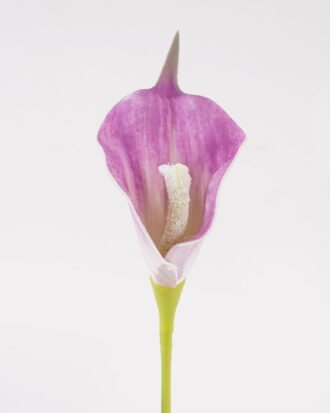 Artificial Flower 6*6*35cm Calla Lily single stem GS-64925006-Z1 2025May YeahFlower is one of Chinese leading OEM manufacturers and exporters , supplying the silk flowers, wholesale artificial trees Artificial Flower 6*6*35cm Calla Lily single stem GS-64925006-Z1 2025May YeahFlower is one of Chinese leading OEM manufacturers and exporters , supplying the silk flowers, wholesale artificial trees