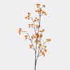 Artificial Flower Celastrus orbiculatus single stem GS-63625005_2 Artificial Flower 21*21*122cm Celastrus orbiculatus single stem GS-63625005 2025May YeahFlower is one of Chinese leading OEM manufacturers and exporters , supplying the silk flowers, wholesale artificial trees