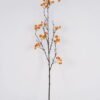 Artificial Flower Celastrus orbiculatus single stem GS-63625006_3 Artificial Flower 19*19*98cm Celastrus orbiculatus single stem GS-63625006 2025May YeahFlower is one of Chinese leading OEM manufacturers and exporters , supplying the silk flowers, wholesale artificial trees