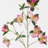Artificial Flower 24*24*83cm Flower single stem GS-62425005-W2 2025May YeahFlower is one of Chinese leading OEM manufacturers and exporters , supplying the silk flowers, wholesale artificial trees