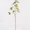 Artificial Flower Flower single stem GS-62425005_4 Artificial Flower 24*24*83cm Flower single stem GS-62425005 2025May YeahFlower is one of Chinese leading OEM manufacturers and exporters , supplying the silk flowers, wholesale artificial trees