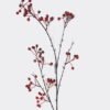 Artificial Flower Fruit single stem GS-63625014-R1_4 Artificial Flower 29*29*120cm Fruit single stem GS-63625014-R1 2025May YeahFlower is one of Chinese leading OEM manufacturers and exporters , supplying the silk flowers, wholesale artificial trees