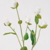 Artificial Flower 15*15*55cm Globe amaranth *5 single stem GS-63625001-W1 2025May YeahFlower is one of Chinese leading OEM manufacturers and exporters , supplying the silk flowers, wholesale artificial trees