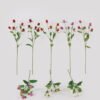 Artificial Flower Globe amaranth 5 single stem GS-63625001_1 Artificial Flower 15*15*55cm Globe amaranth *5 single stem GS-63625001 2025May YeahFlower is one of Chinese leading OEM manufacturers and exporters , supplying the silk flowers, wholesale artificial trees