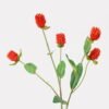 Artificial Flower Globe amaranth 5 single stem GS-63625001_2 Artificial Flower 15*15*55cm Globe amaranth *5 single stem GS-63625001 2025May YeahFlower is one of Chinese leading OEM manufacturers and exporters , supplying the silk flowers, wholesale artificial trees