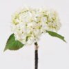 Artificial Flower Hydrangea 3 bush GS-62425002_4 Artificial Flower 25*25*33cm Hydrangea *3 bush GS-62425002 2025May YeahFlower is one of Chinese leading OEM manufacturers and exporters , supplying the silk flowers, wholesale artificial trees