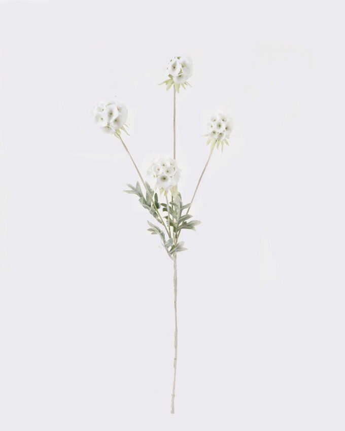 Artificial Flower Leaf 4 single stem GS-26225010-H1_8 Artificial Flower 14*14*61cm Leaf *4 single stem GS-26225010-H1 2025May YeahFlower is one of Chinese leading OEM manufacturers and exporters , supplying the silk flowers, wholesale artificial trees