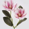 Artificial Flower 18*18*41cm Magnolia *2 single stem GS-64925007-P1 2025Jun YeahFlower is one of Chinese leading OEM manufacturers and exporters , supplying the silk flowers, wholesale artificial trees