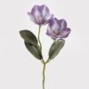 Artificial Flower 18*18*41cm Magnolia *2 single stem GS-64925007-Z2 2025Jun YeahFlower is one of Chinese leading OEM manufacturers and exporters , supplying the silk flowers, wholesale artificial trees