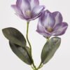 Artificial Flower 18*18*41cm Magnolia *2 single stem GS-64925007-Z2 2025Jun YeahFlower is one of Chinese leading OEM manufacturers and exporters , supplying the silk flowers, wholesale artificial trees