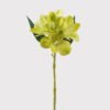 Artificial Flower Narcissus lily single stem GS-64925008_4 Artificial Flower 12*12*33cm Narcissus lily single stem GS-64925008 2025Jun 3,000+ sqm showroom with thousands of artificial flowers, plants & trees ready for global sourcing.