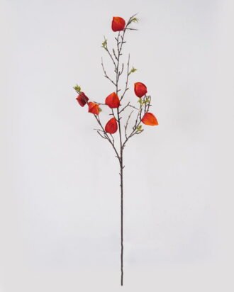 Artificial Flower 17*17*85cm Palace lantern flower single stem GS-63625004-O3 2025May YeahFlower is one of Chinese leading OEM manufacturers and exporters , supplying the silk flowers, wholesale artificial trees Artificial Flower 17*17*85cm Palace lantern flower single stem GS-63625004-O3 2025May YeahFlower is one of Chinese leading OEM manufacturers and exporters , supplying the silk flowers, wholesale artificial trees