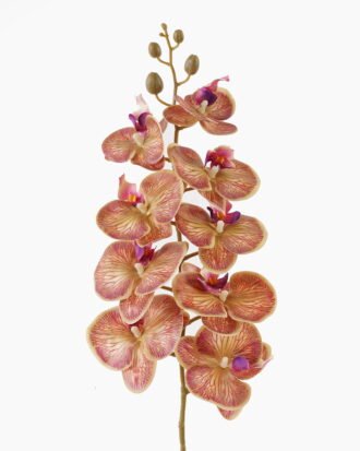 Artificial Flower 16*16*72cm Phalaenopsis *7 single stem GS-64924019CT-R-O2 2025May YeahFlower is one of Chinese leading OEM manufacturers and exporters , supplying the silk flowers, wholesale artificial trees