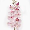 Artificial Flower Phalaenopsis 7 single stem GS-64924019CT-R-P3_7 Artificial Flower 16*16*72cm Phalaenopsis *7 single stem GS-64924019CT-R-P3 2025May YeahFlower is one of Chinese leading OEM manufacturers and exporters , supplying the silk flowers, wholesale artificial trees