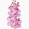 Artificial Flower Phalaenopsis 7 single stem GS-64924019CT-R-P4_7 Artificial Flower 16*16*72cm Phalaenopsis *7 single stem GS-64924019CT-R-P4 2025May YeahFlower is one of Chinese leading OEM manufacturers and exporters , supplying the silk flowers, wholesale artificial trees